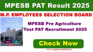 Read more about the article MPESB PAT Result 2025 – एमपी प्री एग्रीकल्चर टेस्ट रिजल्ट घोषित